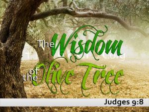 The Wisdom Of The Olive Tree