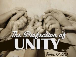The Perfection Of Unity