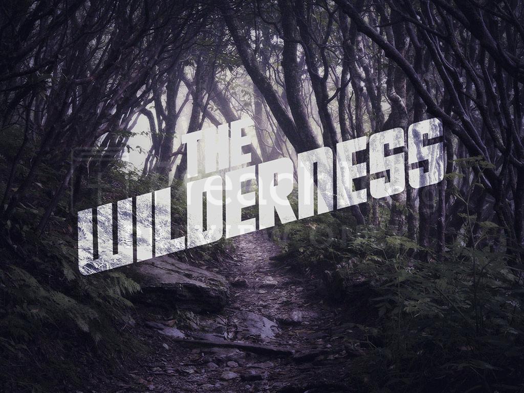 Lesson 1:  The Wilderness Test