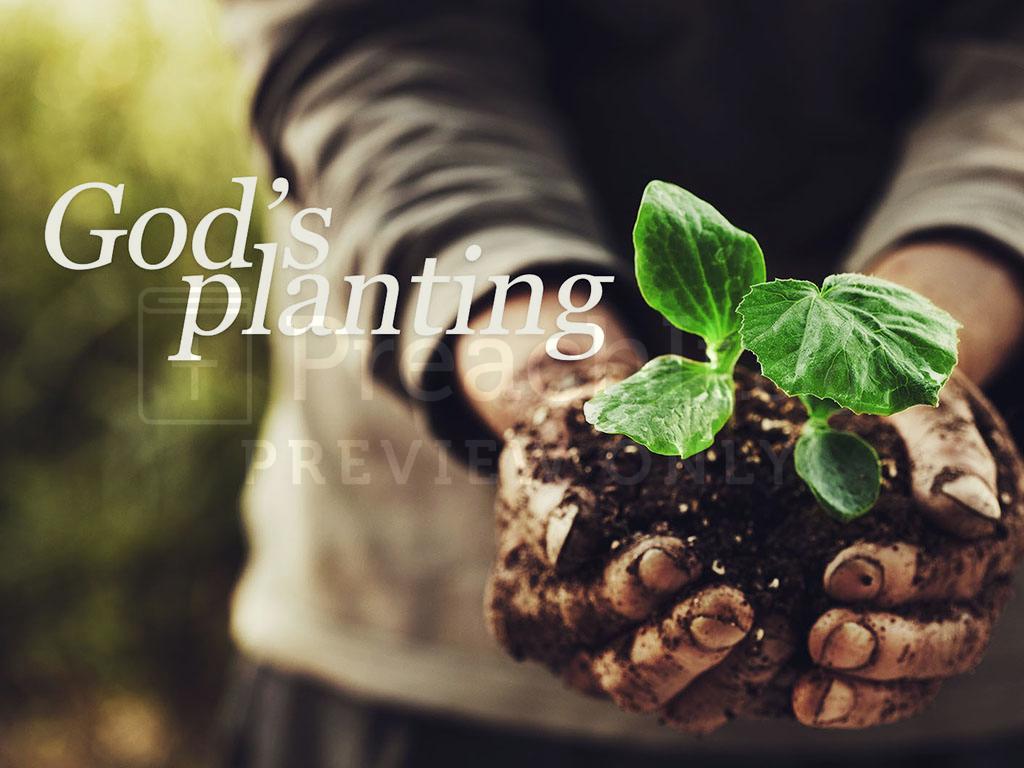 Lesson 5: God’s Planting