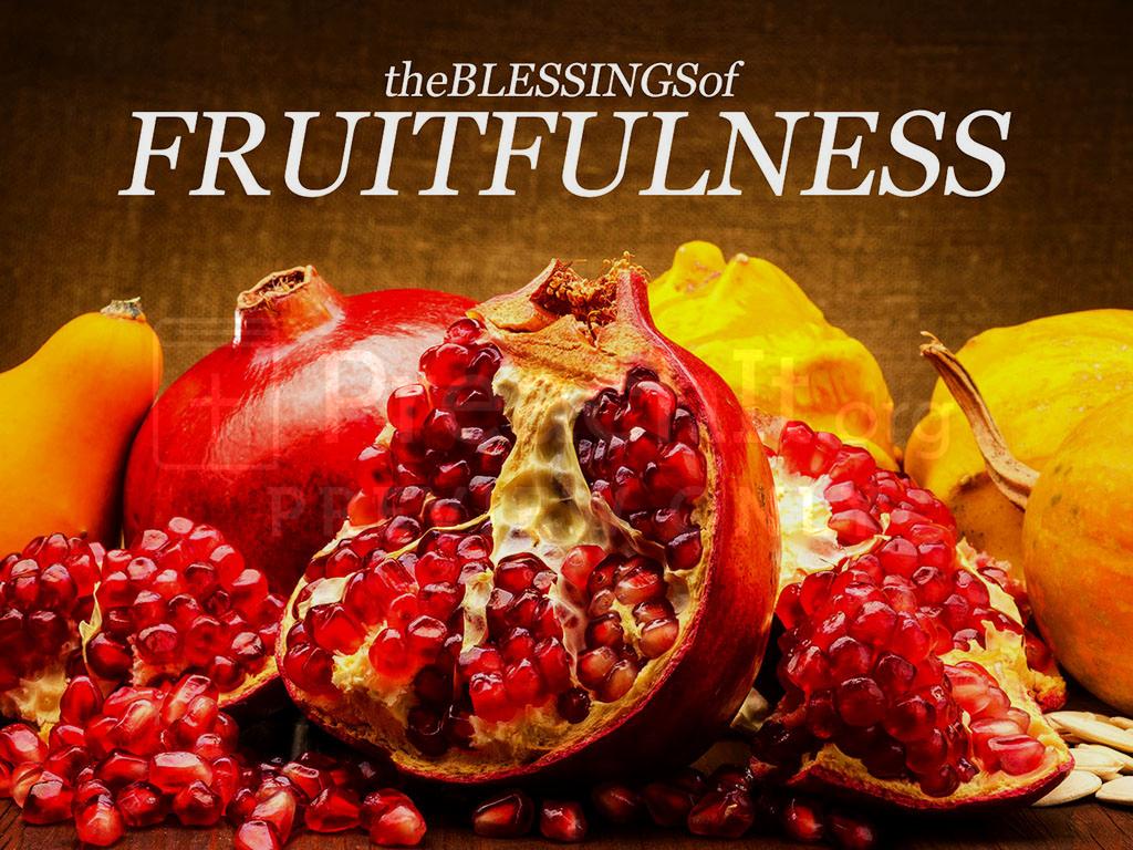 Lesson 6: The Blessings of Fruitfulness