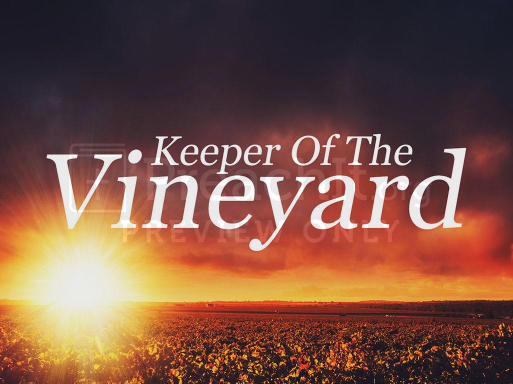 Lesson 1: Keeper Of The Vineyard