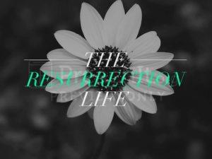 The Resurrection Life