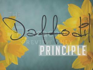 The Daffodil Principle