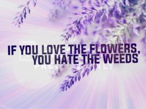 If You Love the Flowers, You Hate the Weeds