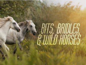 Bits, Bridles and Wild Horses