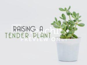 Raising A Tender Plant