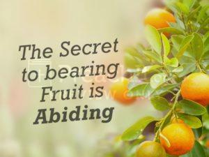The Secret of Bearing Fruit Is Abiding