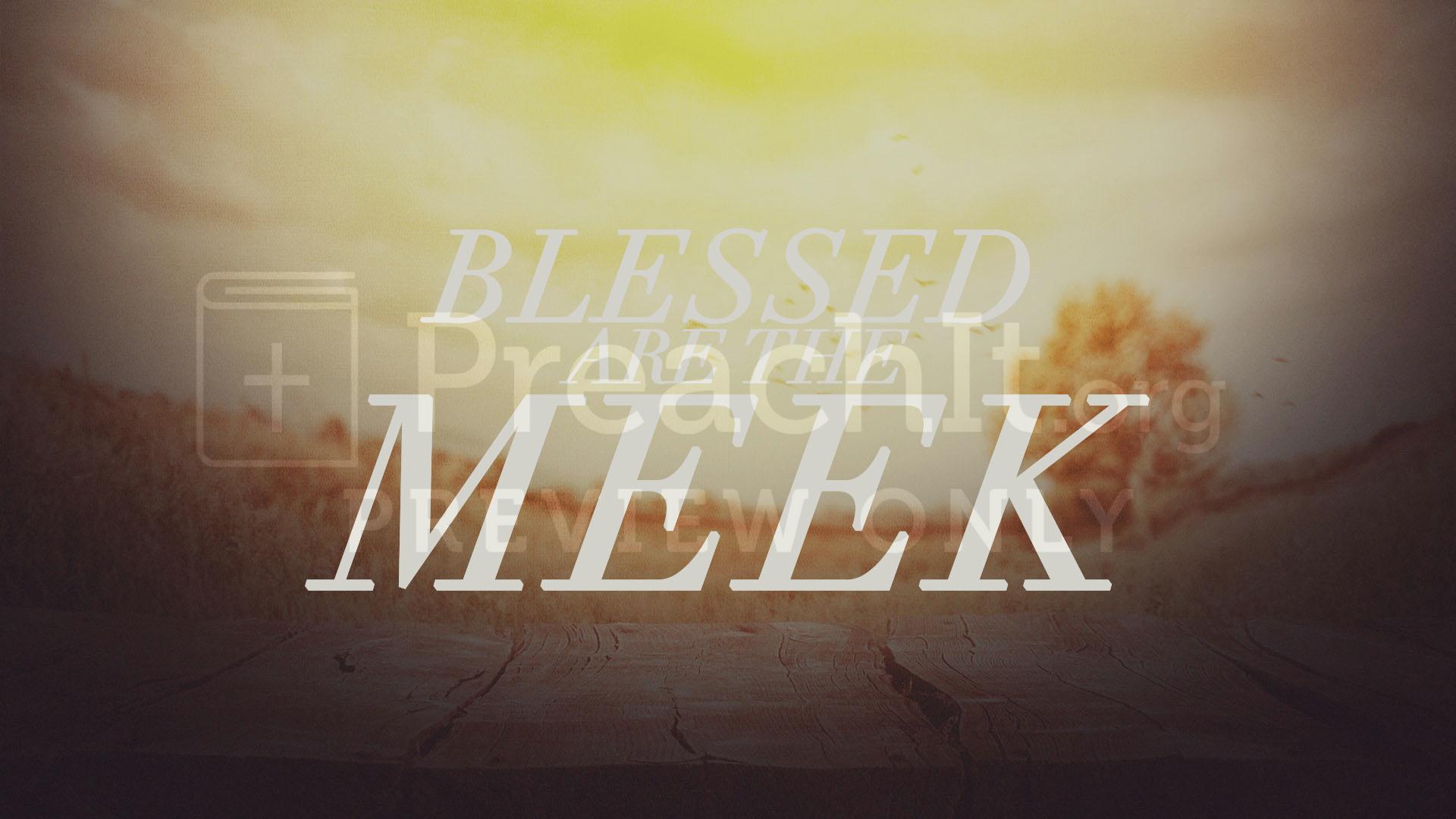 Lesson 2: Blessed Are The Meek