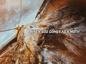 When God Comes As A Moth