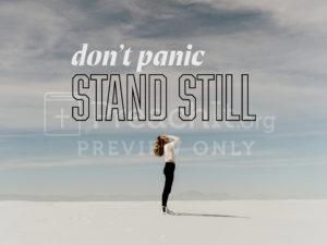 Don't Panic Stand Still