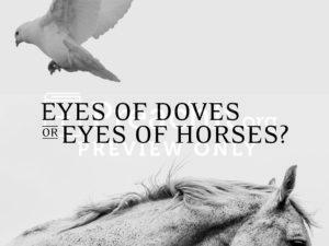 Eyes of Doves or Eyes of Horses?