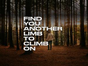 Find You Another Limb to Climb On