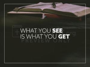 What You See is What You Get